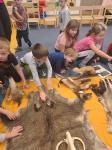 IMG-20231128-WA0018.jpg