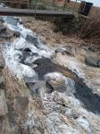 IMG-20240115-WA0012.jpg