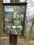 IMG-20240318-WA0024.jpg