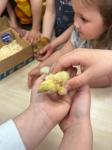 IMG-20240415-WA0041.jpg