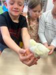 IMG-20240415-WA0042.jpg