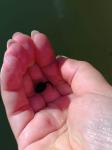 IMG-20240513-WA0043.jpg