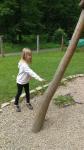 IMG-20240611-WA0012.jpg
