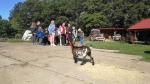 IMG-20240611-WA0133.jpg