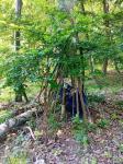 IMG-20240617-WA0026.jpg