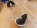 IMG-20240729-WA0017.jpg
