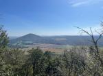 IMG-20240923-WA0013.jpg