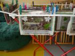 DSC04816.JPG