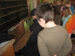 IMG_2913.jpg
