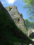 DSCF9958.jpg