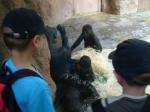 vylet do zoo.JPG