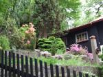 DSCF1545.jpg