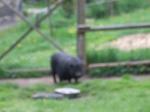 DSCF1547.jpg