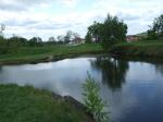 DSCF1640.jpg
