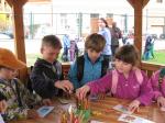 IMG_6267.jpg