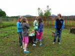 P1380520.jpg