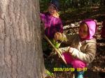 MŠ 2013 014.jpg