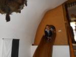 DSCN0394.jpg