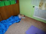 DSCN0497.jpg