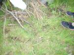 DSCN0462.jpg